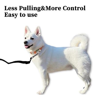 Training Dog Leash, 19.7ft Long Puppy Leashes with Foam Handle for Small Medium Dogs, Black