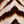 Brown Print