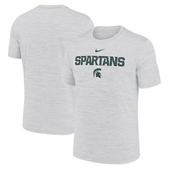 Men's Nike Ash Michigan State Spartans 2025 Sideline Velocity Performance T-Shirt