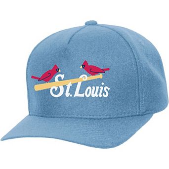 Unisex Mitchell & Ness Blue St. Louis Cardinals Basic Coop Pro Adjustable Hat