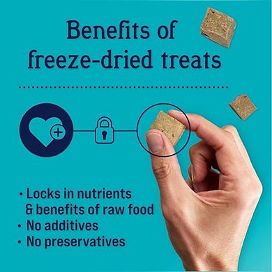 Stewart Pro-treat 100% Freeze Dried Chicken Liver For Dogs