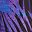 Bright Purple Leaf