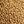 Elgin Beige