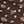 Brown Pink Floral