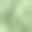 Blue Green Green