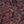 Khaki Dark Purple