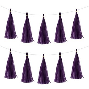 15 pc Tassel Garland Banner with Rope Tissue Paper Tassels Party DIY Kits for Party Decoration