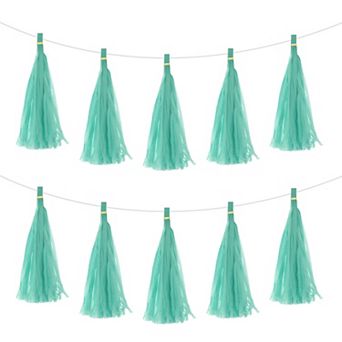15 pc Tassel Garland Banner with Rope Tissue Paper Tassels Party DIY Kits for Party Decoration