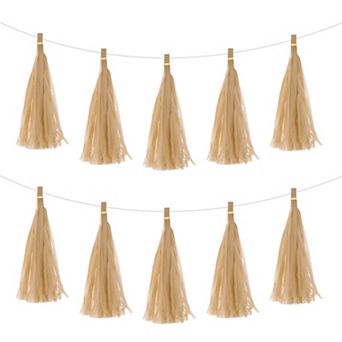 15 pc Tassel Garland Banner with Rope Tissue Paper Tassels Party DIY Kits for Party Decoration