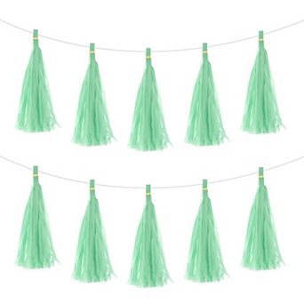 15 pc Tassel Garland Banner with Rope Tissue Paper Tassels Party DIY Kits for Party Decoration