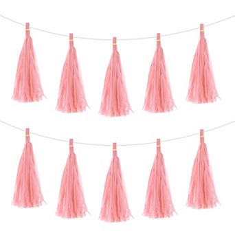 15 pc Tassel Garland Banner with Rope Tissue Paper Tassels Party DIY Kits for Party Decoration