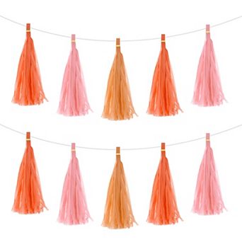 15 pc Tassel Garland Banner with Rope Tissue Paper Tassels Party DIY Kits for Party Decoration