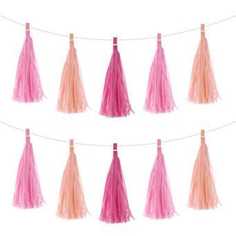 15 pc Tassel Garland Banner with Rope Tissue Paper Tassels Party DIY Kits for Party Decoration