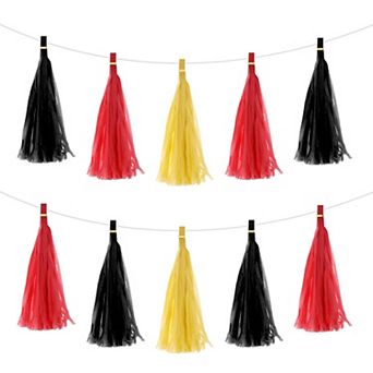 15 pc Tassel Garland Banner with Rope Tissue Paper Tassels Party DIY Kits for Party Decoration