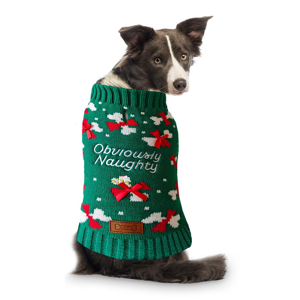 Woof Obviously Naughty Dog Sweater