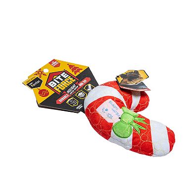 Bite Force Holiday Striped Bone Dog Toy