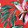 Red Hawaii