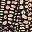 Copper Fusion