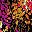 Multi Abstract Garden
