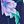 Navy Floral