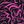 Black Magenta Abstract