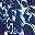 Navy Graphic Floral
