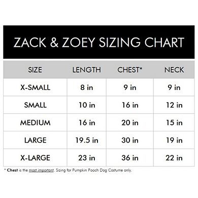 Zack & Zoey Pumpkin Pooch Dog Costume