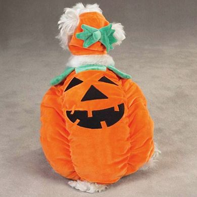 Zack & Zoey Pumpkin Pooch Dog Costume