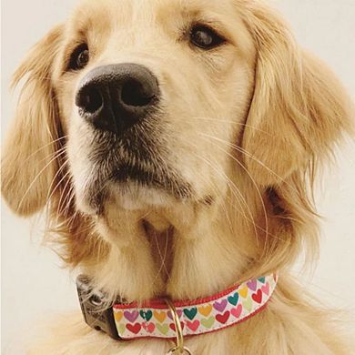 Up Country Pop Hearts Dog Collar M (12-18”); Wide 1”