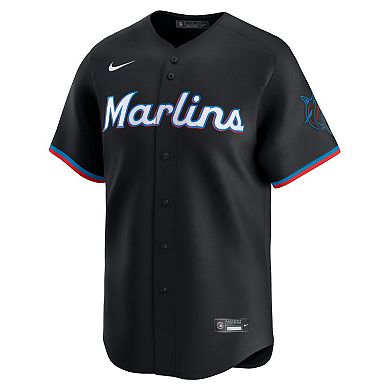 Men's Nike Sandy Alcantara Black Miami Marlins Alternate Limited Player Jersey