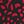 Black Red