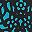 Black Teal