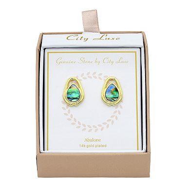 City Luxe Gold Tone Abalone Earrings