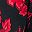 Scarlet Bloom