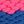 Blue Fuchsia