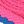 Blue Fuchsia