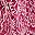 Plum Pink
