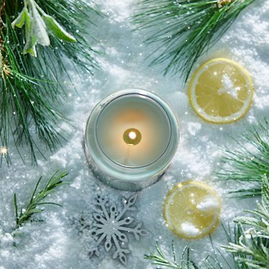 Yankee Candle Holiday Winterfest 22-oz. Large Jar Candle