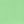 Pistachio