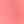 Sweet Coral