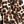 Neutral Animal Mosaic