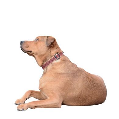 Up Country Fleet Street Plaid Dog Collar