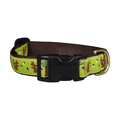 Up Country Nuts Dog Collar