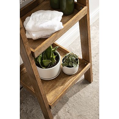 Lowry Wood Ladder Shelf