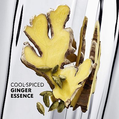 MYSLF Absolu Travel Spray with Ginger & Woods