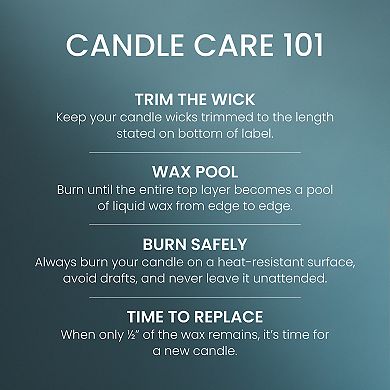 Yankee Candle® Bayside Cedar 22 oz Jar Candle