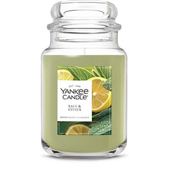 Yankee Candle® Sage & Citrus Large Jar Scented Candle, 22 oz