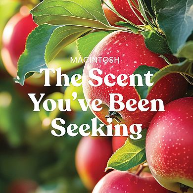 Yankee Candle® Macintosh Essential Oil 10 oz Studio Candle