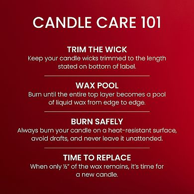 Yankee Candle Macintosh Small Tumbler Candle