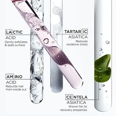 Chroma Absolu Shampoo for Medium to Thick Color-Treated Hair